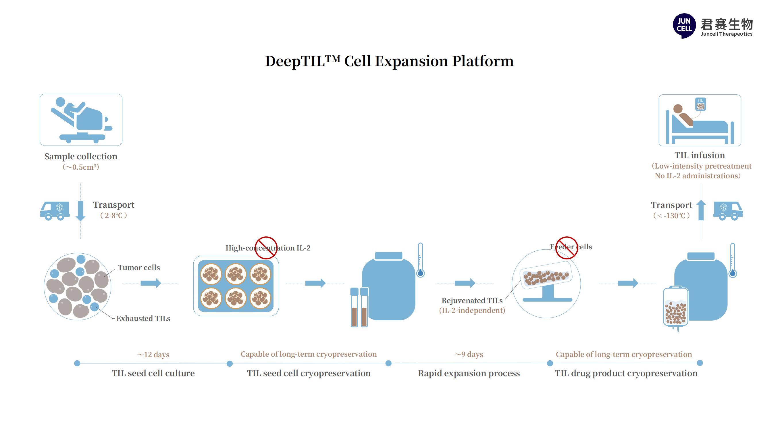 DeepTIL-en.jpg